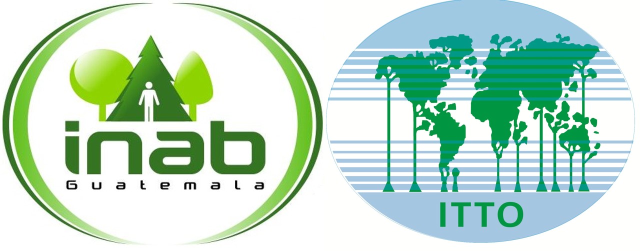 Sistema de Información basado en parcelas permanentes | Desarrollo Forestal