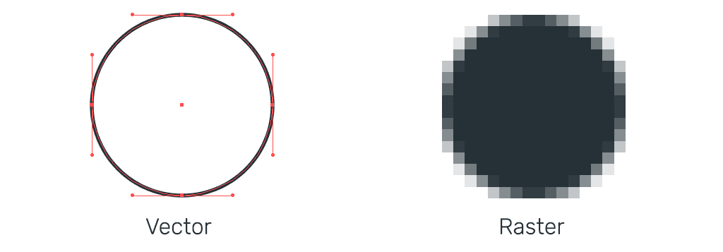 which holds more data raster or vector gis