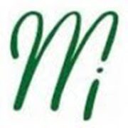 Skardu Built up Area | Mi-Rep