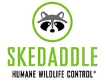 Skedaddle Locations | Skedaddle Franchising