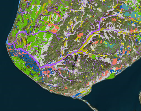 Wetland-Classification-of-the-Kenai-Lowland