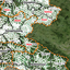World-Bank-Lao-Landscapes-Livelihoods-Project-FLUP-Monitoring-Tool-BLK-XKG-HPN