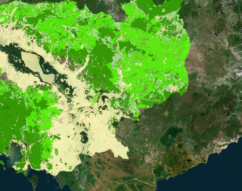 Cambodia-Forest-Cover-Change-Between-1973-1997