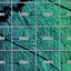 Elevation-Topography