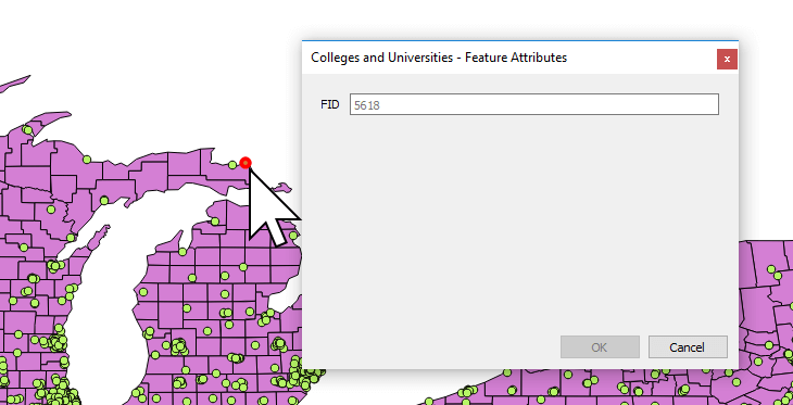 A feature identify window in QGIS